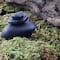 Preserved Forest Moss by Ashland®
